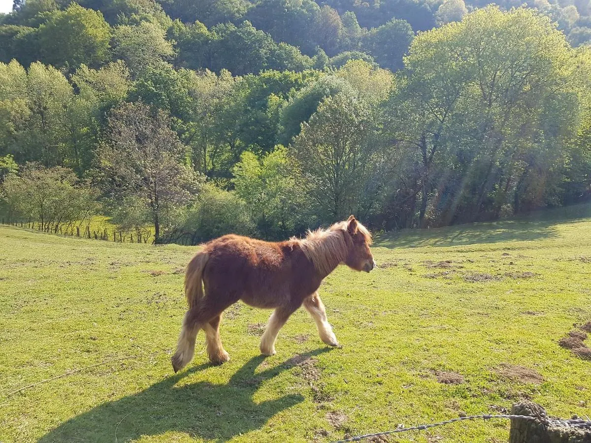 Vila Casa Lekutxoa Con Amplio Jardin Cerca De San Sebastian Oiartzun 0*,  Španělsko
